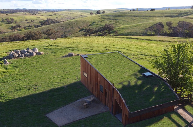 The grass roof of Wilga Station's Farmer's Hut accomodation.